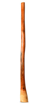 Ironbark Flared Didgeridoo (IB270)